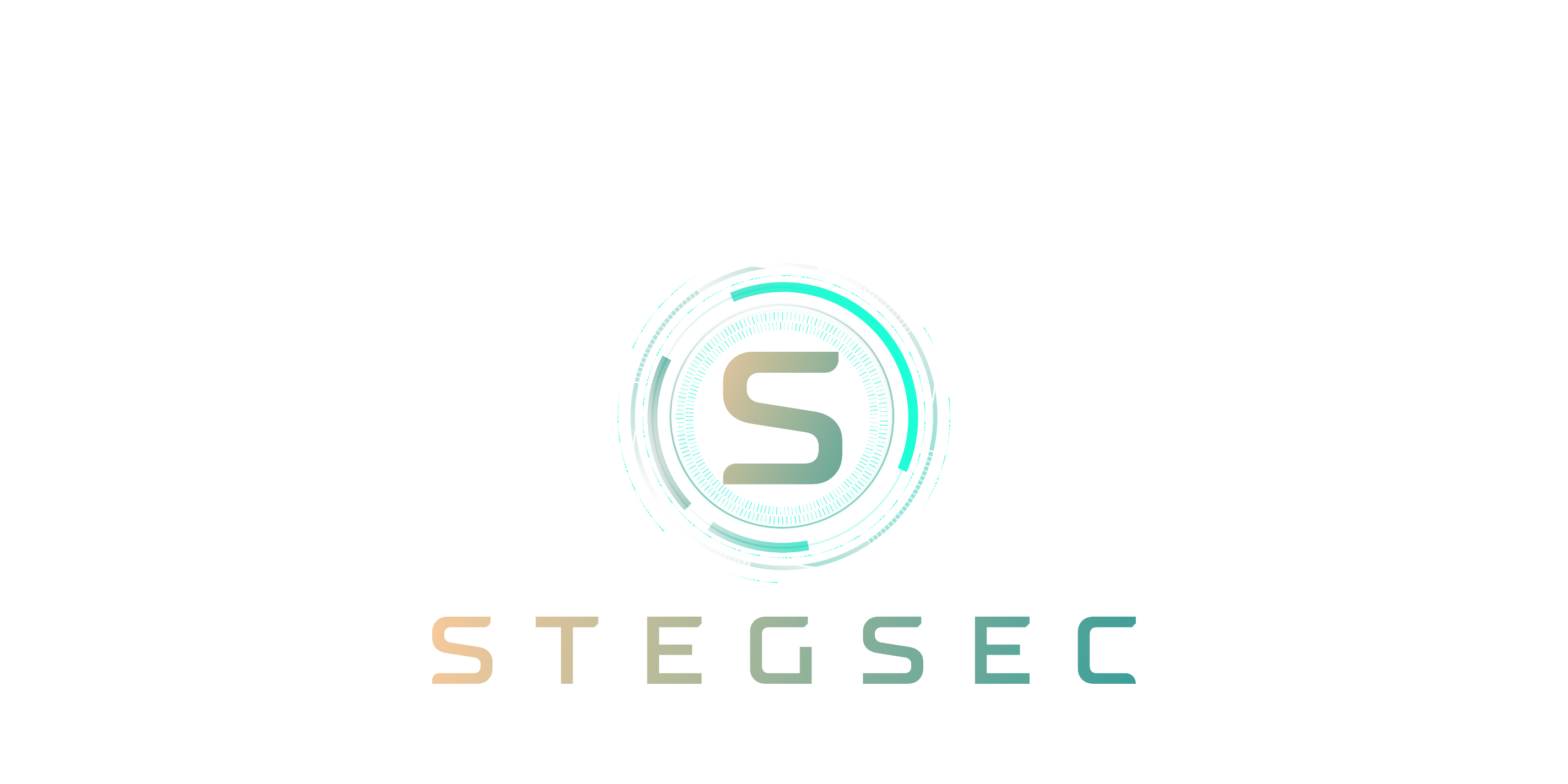 StegSec Logo